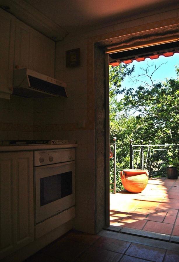 Willa Quinta Do Freixieiro Cinfães Zewnętrze zdjęcie